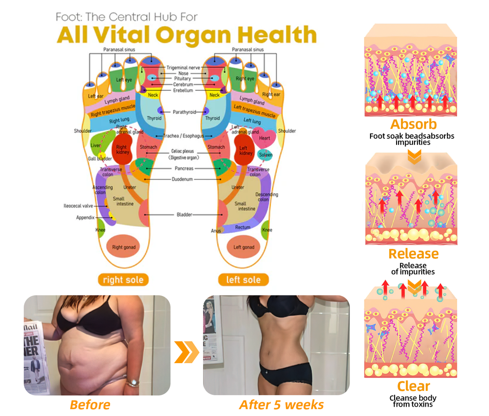 30-Herb  Foot - (👩‍⚕️AVLS Certification)